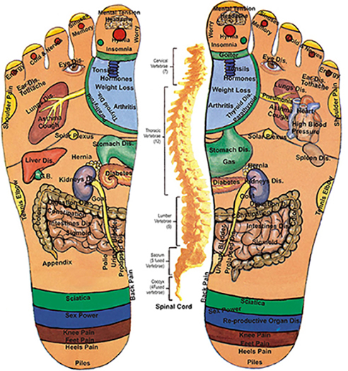 Acupressure Points And Foot Reflexology North Miami Beach Shum S